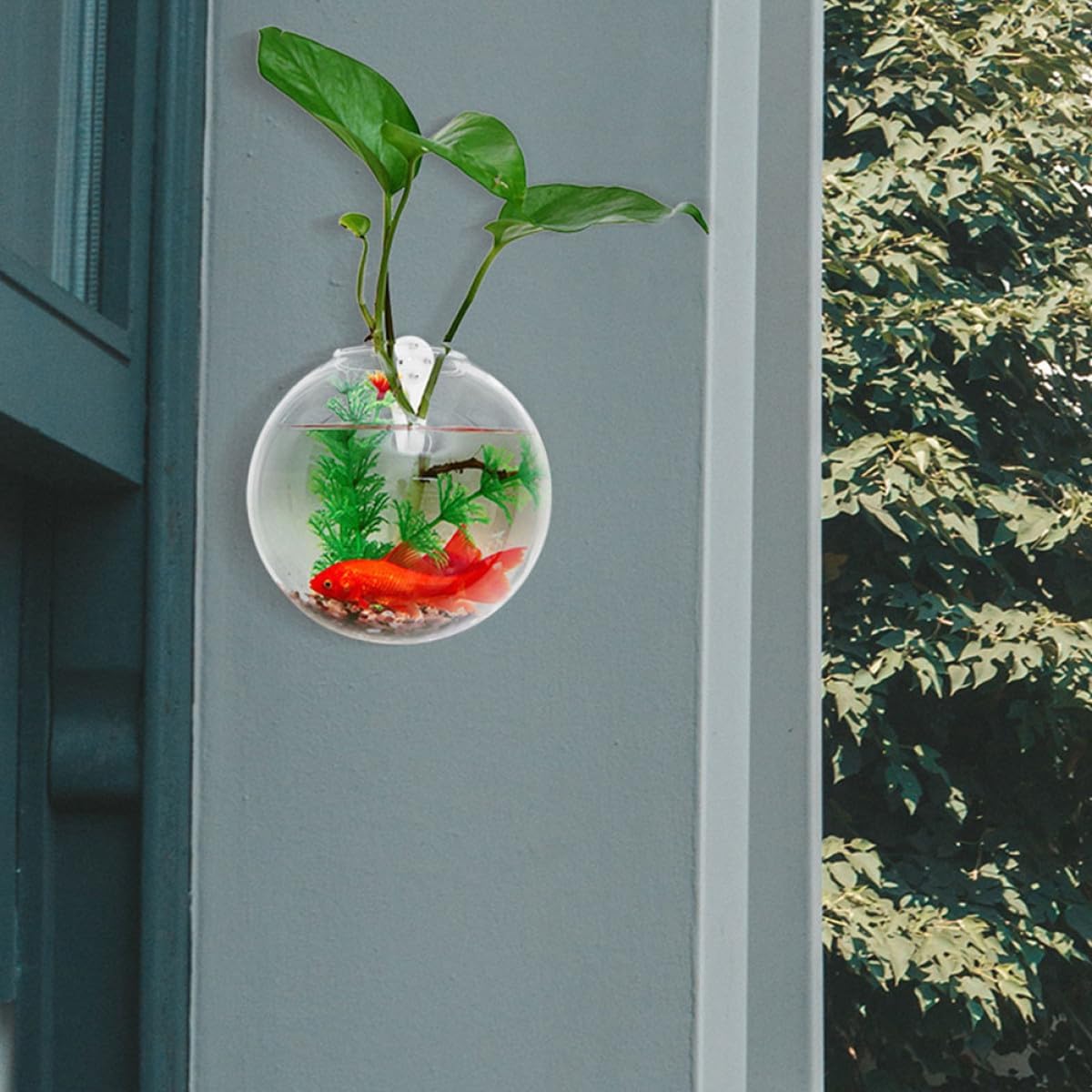 Hanging Wall Planter Glass Vase Set, 4pcs 10cm Hydroponic Terrarium Gl