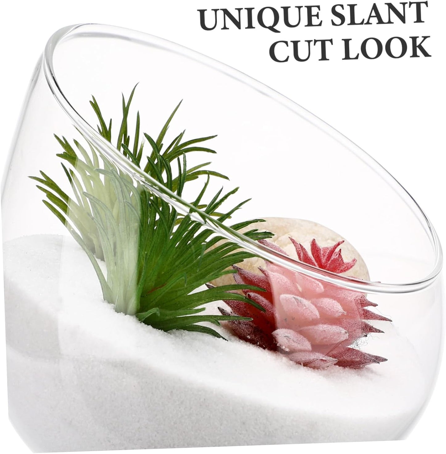 HANABASS Glass 1pc Wedding Cut Event Candle Orb Fish Indoor Floral Containers Slant Bowl Stand Bottle Plant Vase Center Micro Decoration Globe Lifelike Succulents Home Decor