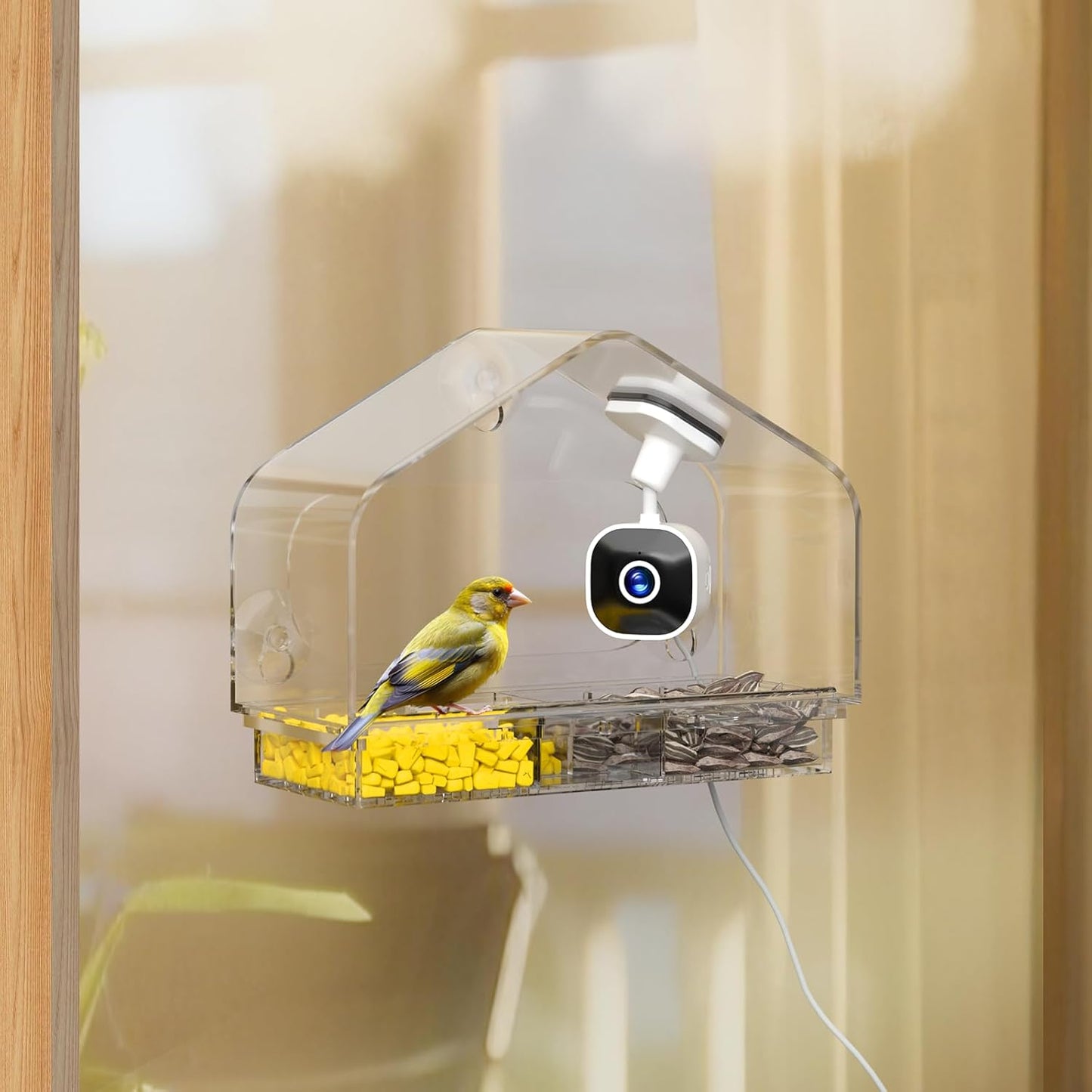 Smart Window Bird Feeder Camera with AI, Modern Design for Panoramic Views, 2K HD Live Feed, USB Powered & Secure Suction Mount - The Ultimate Tech Gift (Clear)