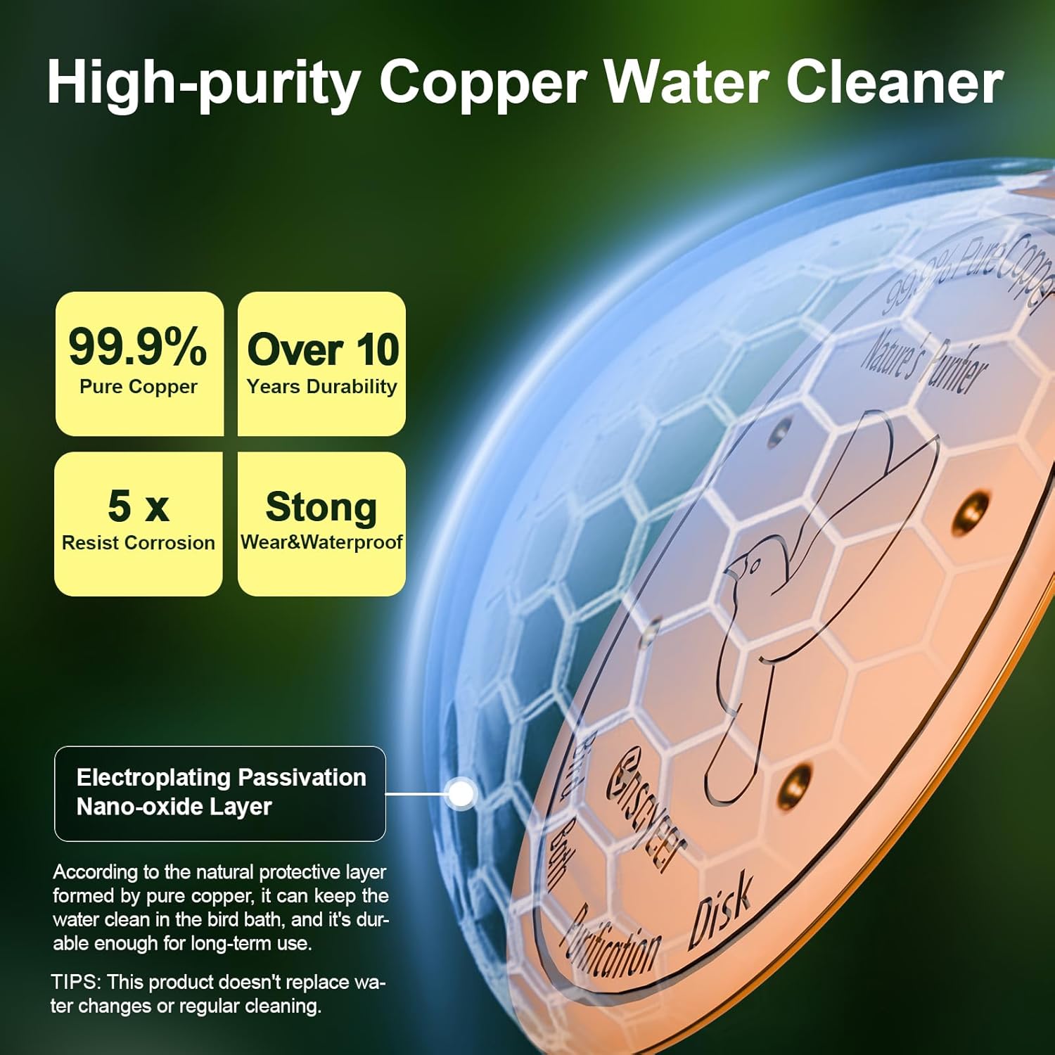 Upgraded Bird Bath Copper Disk, 0.8mm Reinforced 99.99% Pure Copper Cl