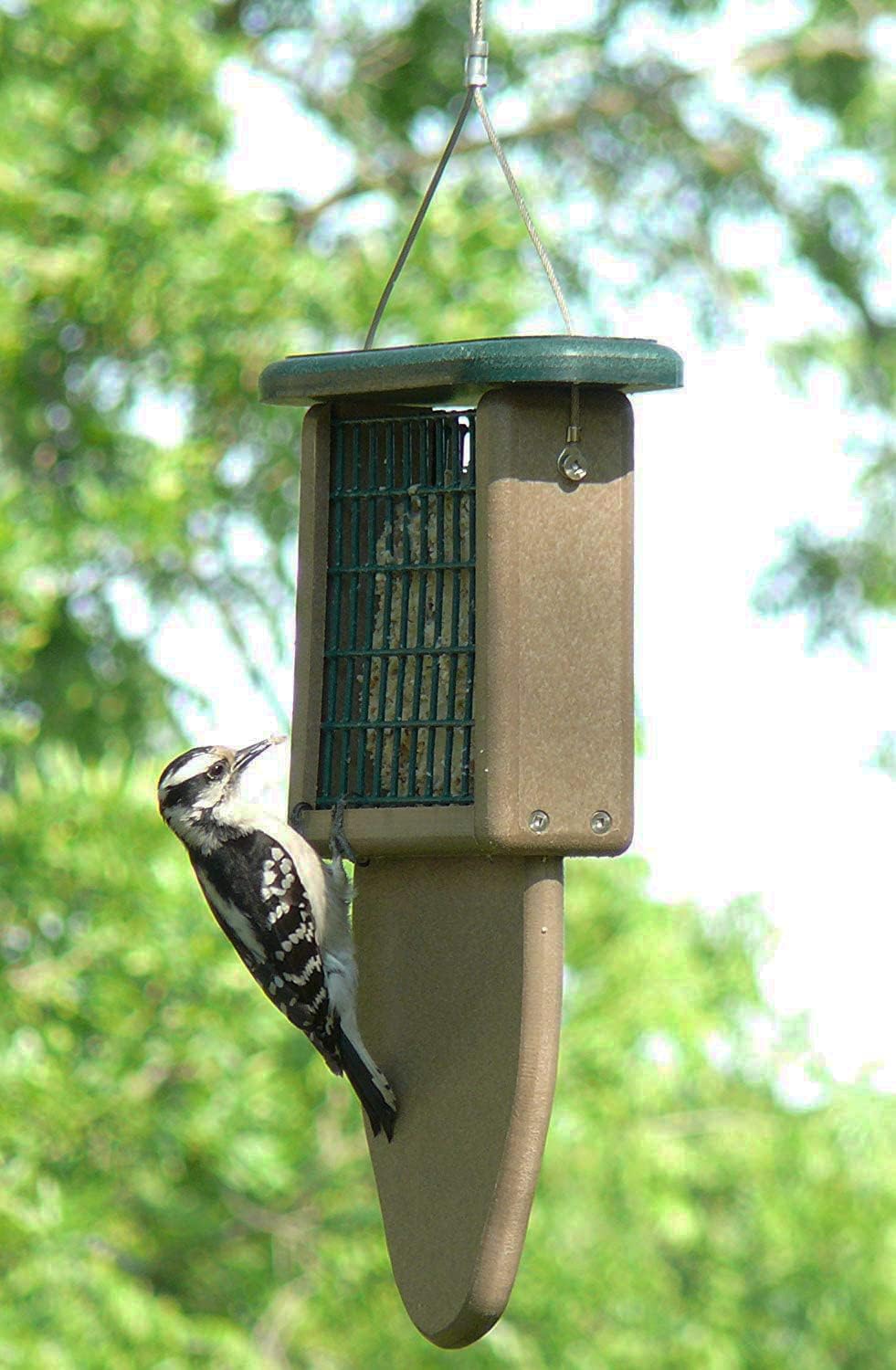 Kettle Moraine Recycled Plastic Single Suet Cake Tail Prop Suet Bird F