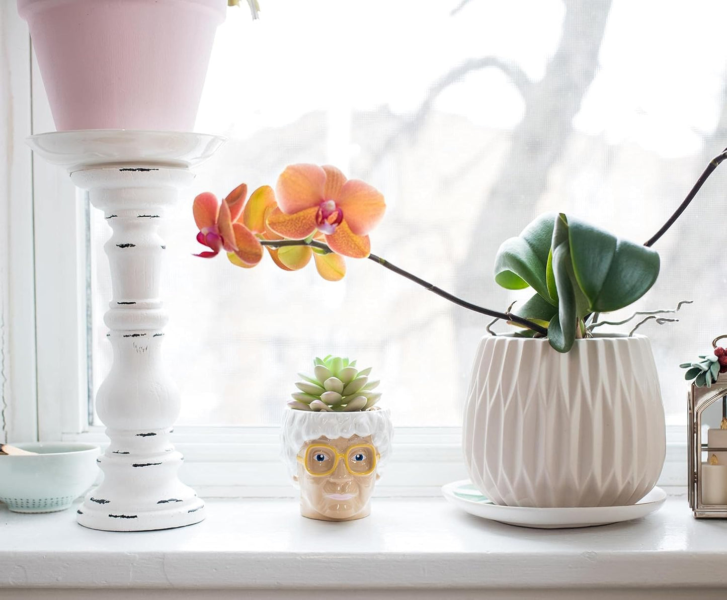 Silver Buffalo The Golden Girls Sophia Face Mini Ceramic Planter Decor | Official TV Show Collectible | Small Flower Pot for Indoor Plants, Includes Artificial Succulent | 3 Inches