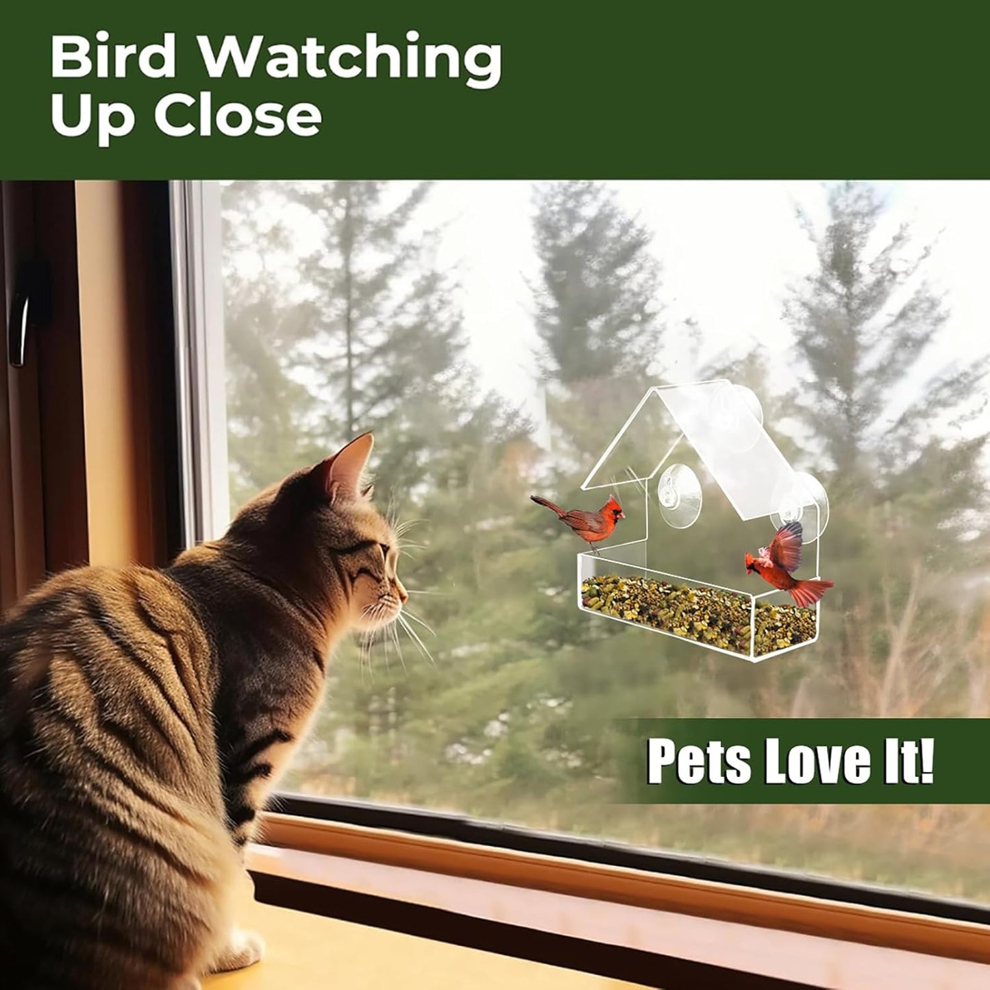 Clear Window Bird Feeder with Strong Suction Cups, Sturdy and Durable Acrylic Birdfeeders for Viewing Wild Birds Outside, Outdoor Small Bird House, Garden Decor