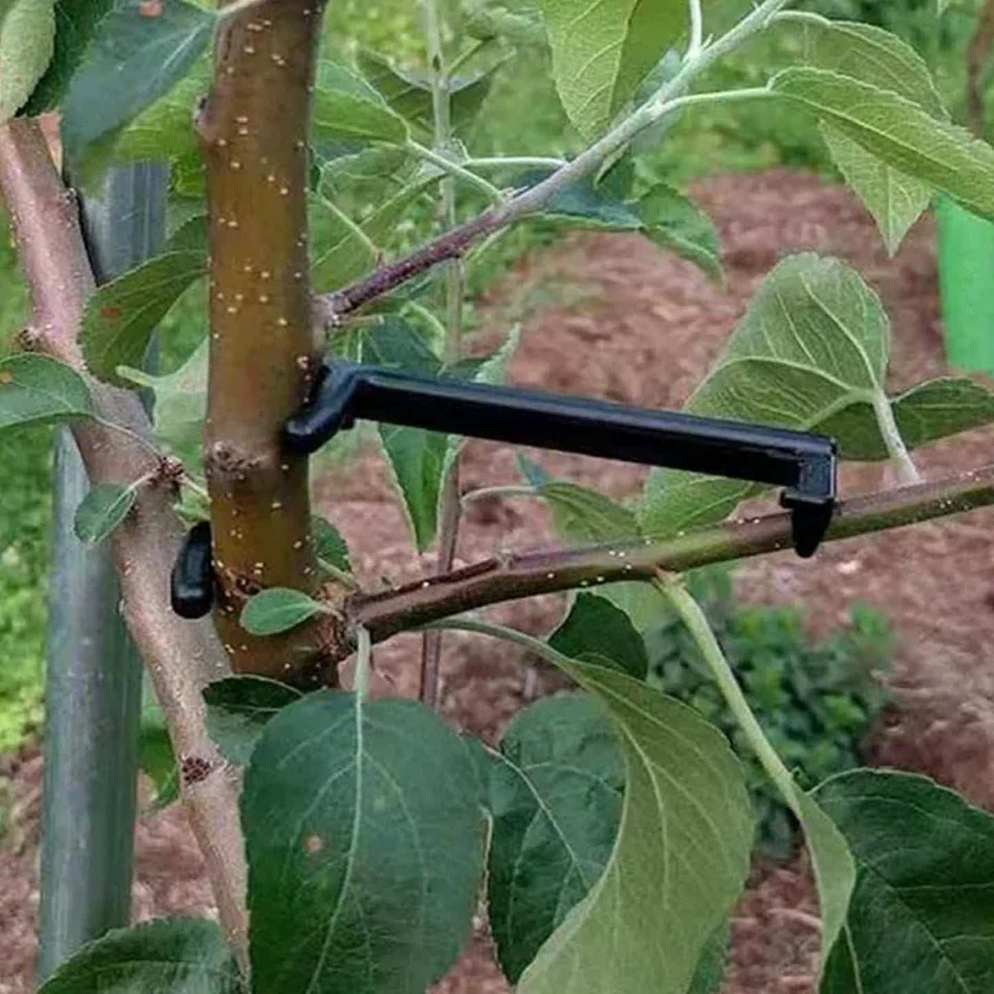 20Pcs Branch Spreaders for Fruit Trees, Pressure-Resistant Tree Puller