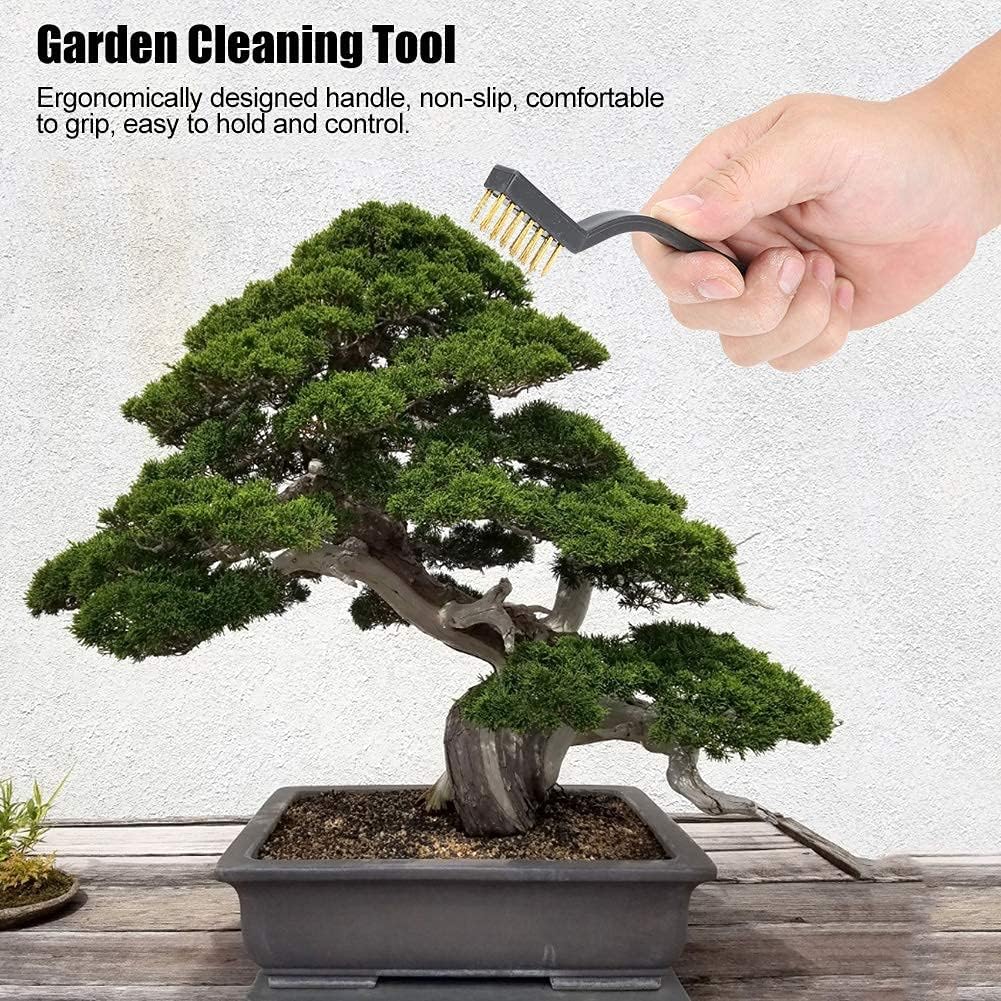 Mini Wire Brush Bonsai Brush, 3pcs Wire Bristle with Plastic Handle Ma