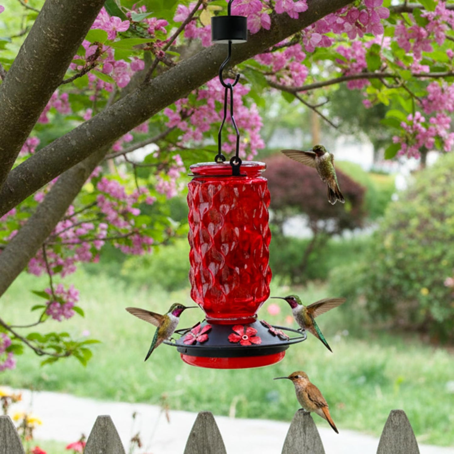 Glass Hummingbird Feeders for Outdoors - 25 OZ Red Humming Bird Hanging Nectar Feeder with 5 Feeding Port Ant Moat for Garden Tree Wildlife Backyard, Birder Ideal Gift for Women Men