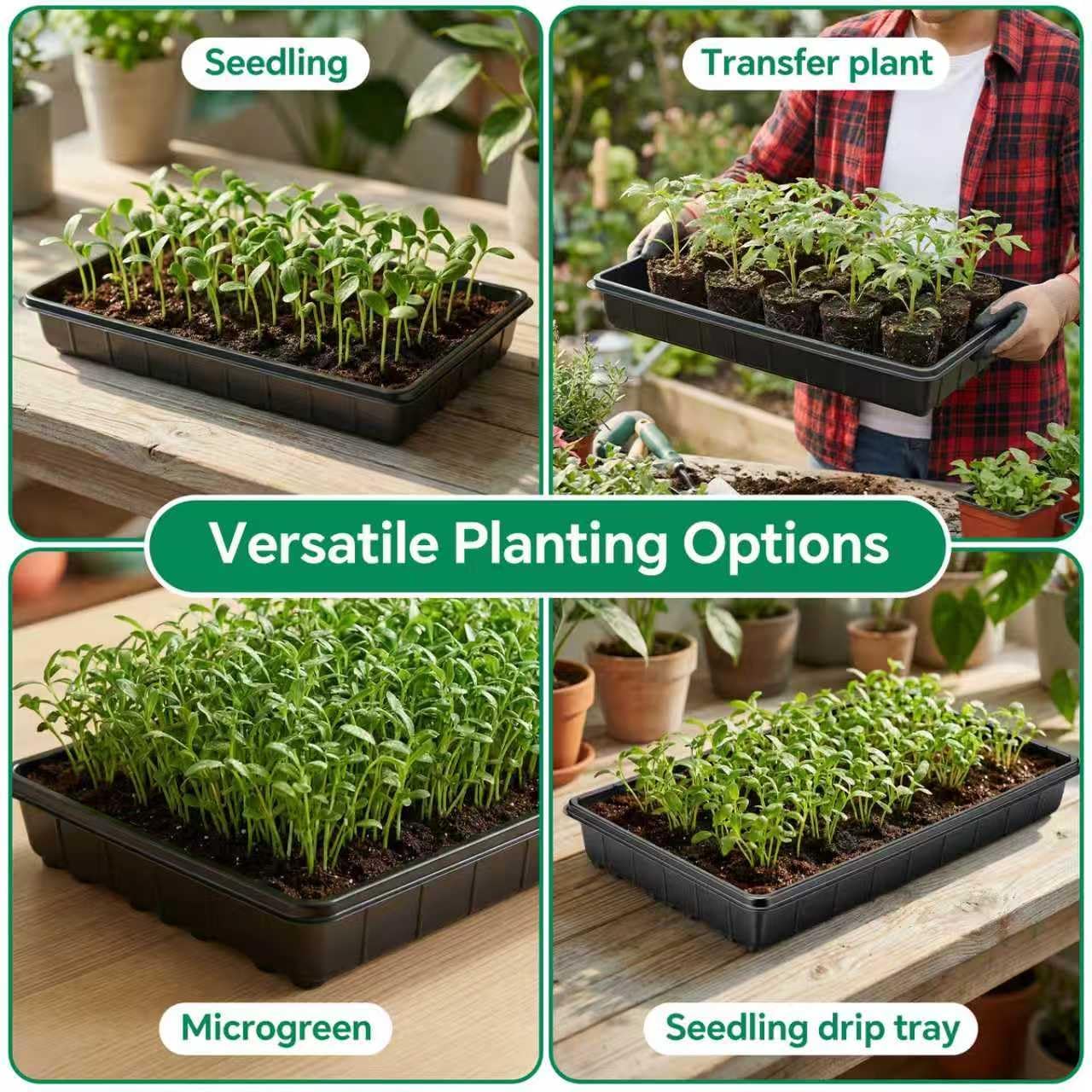 10 Plant Growing Trays,Plant Tray, Seed Tray, Seedling Tray, Propagati