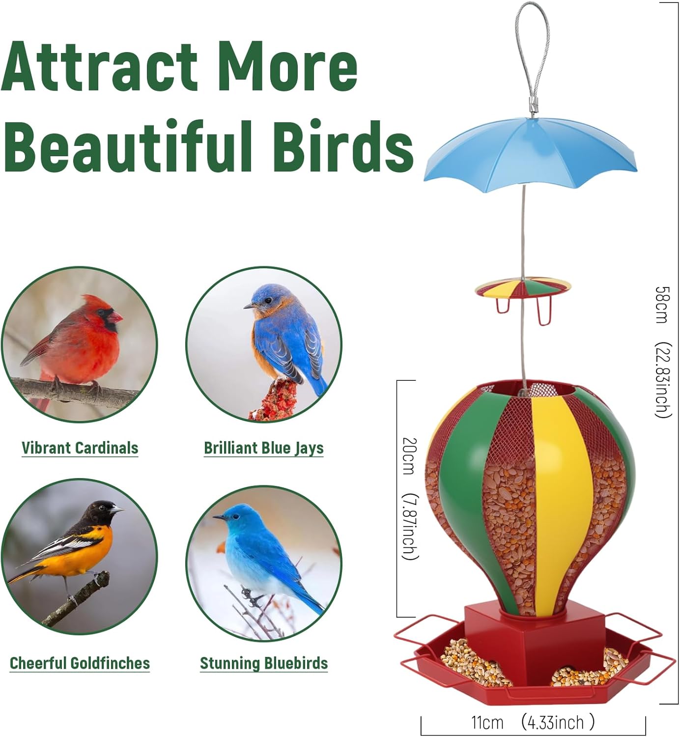 Bird Feeder for Outdoors, Squirrel Proof Outside Hanging Unique Design