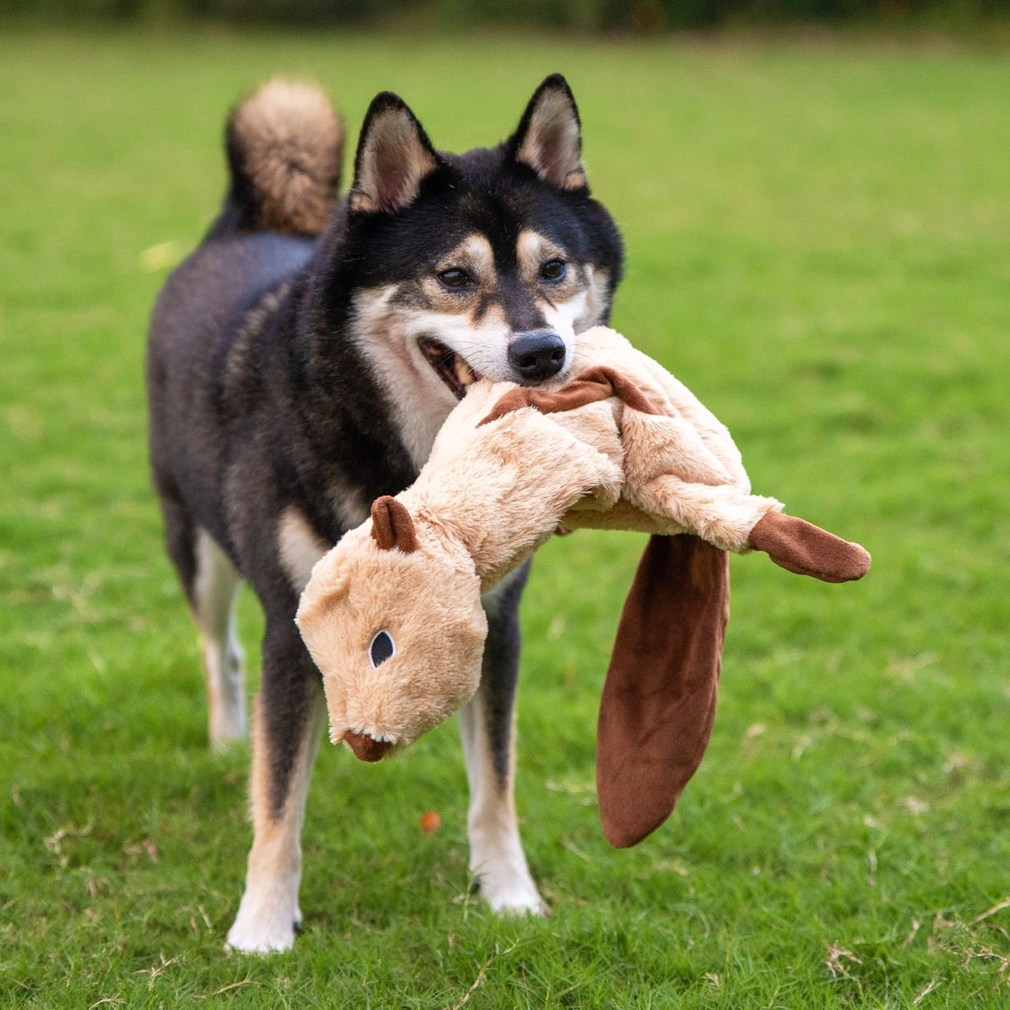 Best Pet Supplies Squeaky Dog Toys with Soft Durable Fabric for Small,