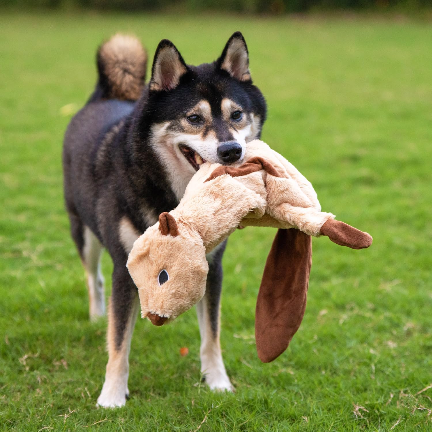 Best Pet Supplies Squeaky Dog Toys with Soft Durable Fabric for Small,