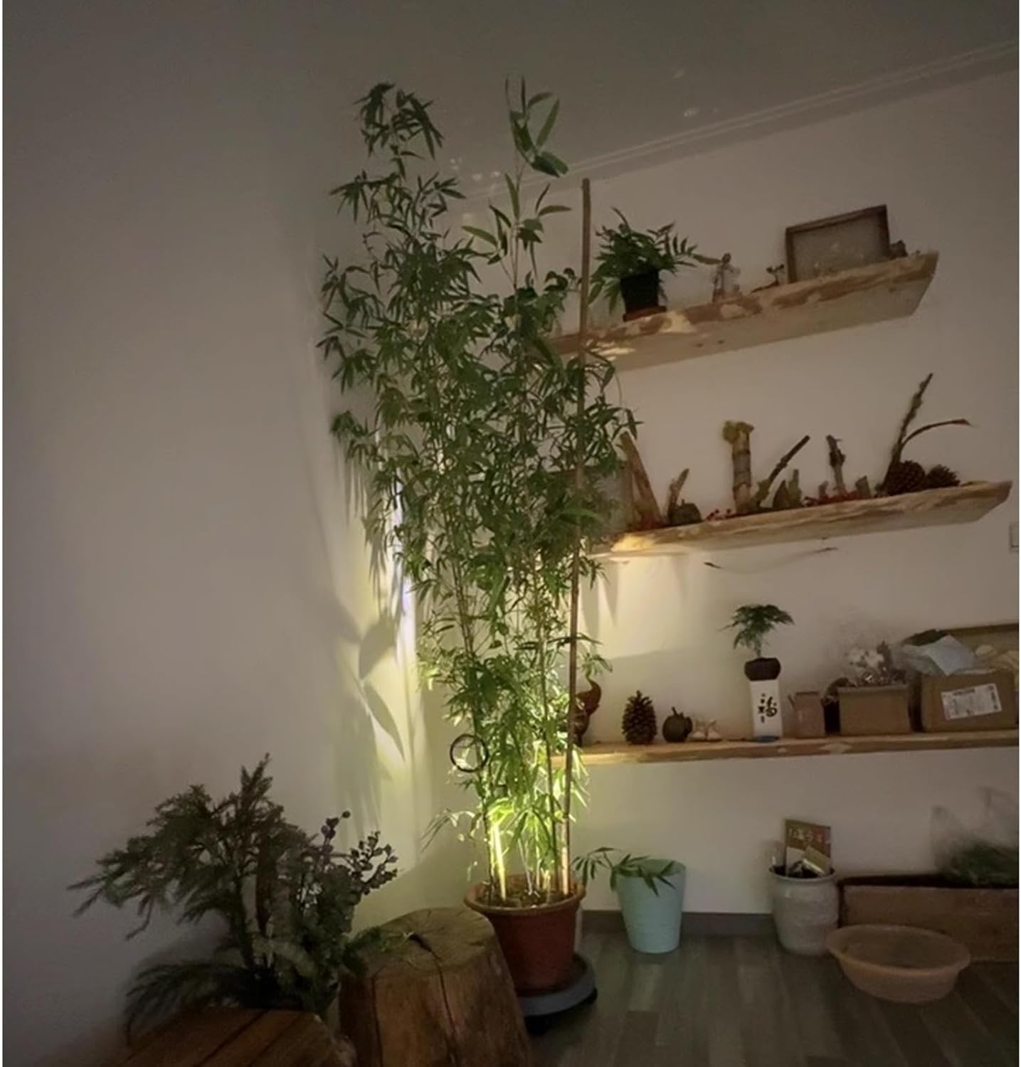 Outdoor Indoor Artificial Bamboo Plants Trees with Leaves, Fake Faux Silk Greenery Wall DIY Decor Screen for Landscaping Privacy, Garden Fence, Courtyard Entrance & Room Separator Decor(5 Bamboo,1m/3.