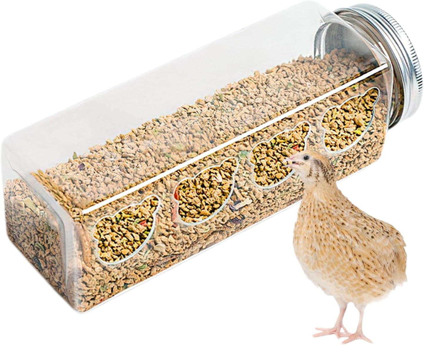 Quail Feeder - Clear No Poultry Dispenser | 4 Cute Bear Feeding Ports, Portable Bottle Style Bird Food Container for Cage Use, Ideal for Chickens Parrots Budgies Finches