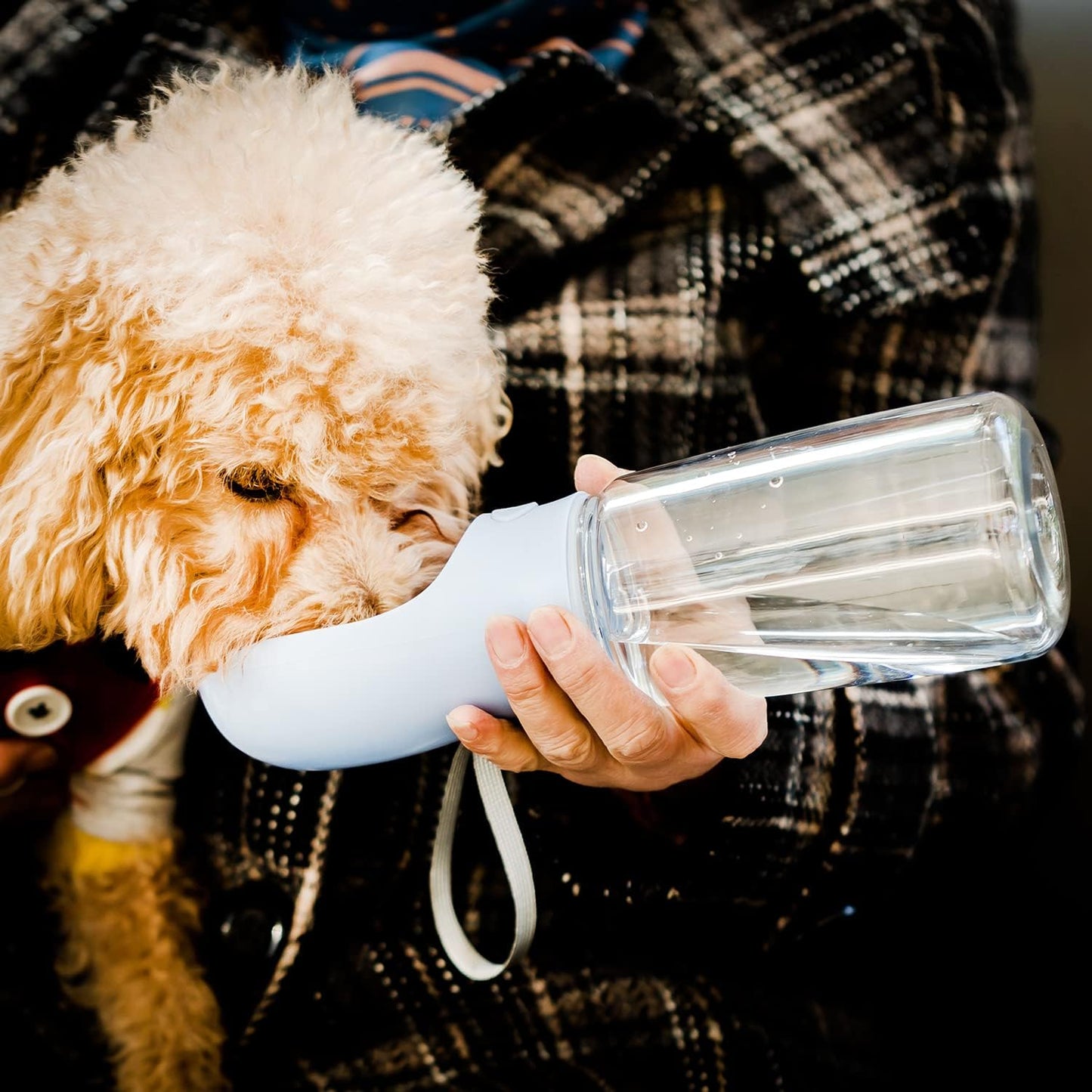 Mr. Pen Portable Dog Water Bottle - 19oz, Blue, Travel & Dispenser for
