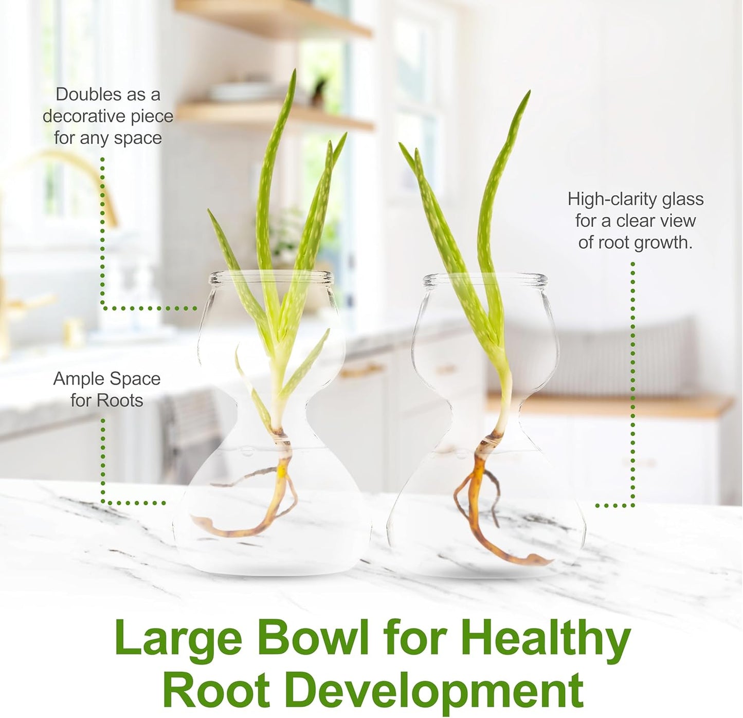 Garden Guru Plant Propagation Stations - Clear Glass Bud Vases Set of 4 - Mini Vases for Wedding Centerpieces, Cafe Décor, Tea Shop Displays - Small Hydroponic & Flower Vase