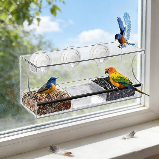 Window Bird Feeder, Suction Cup Food Box, Acrylic Clear Detachable Feeder for Indoor, Deck Patio Balcony Observation, Spill-Proof Feeding Station, Kids Bird Watching Accessory