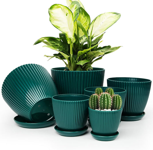 Plant Pots Indoor with Saucers & Drainage - 6 Pack Flower Pots - Plast