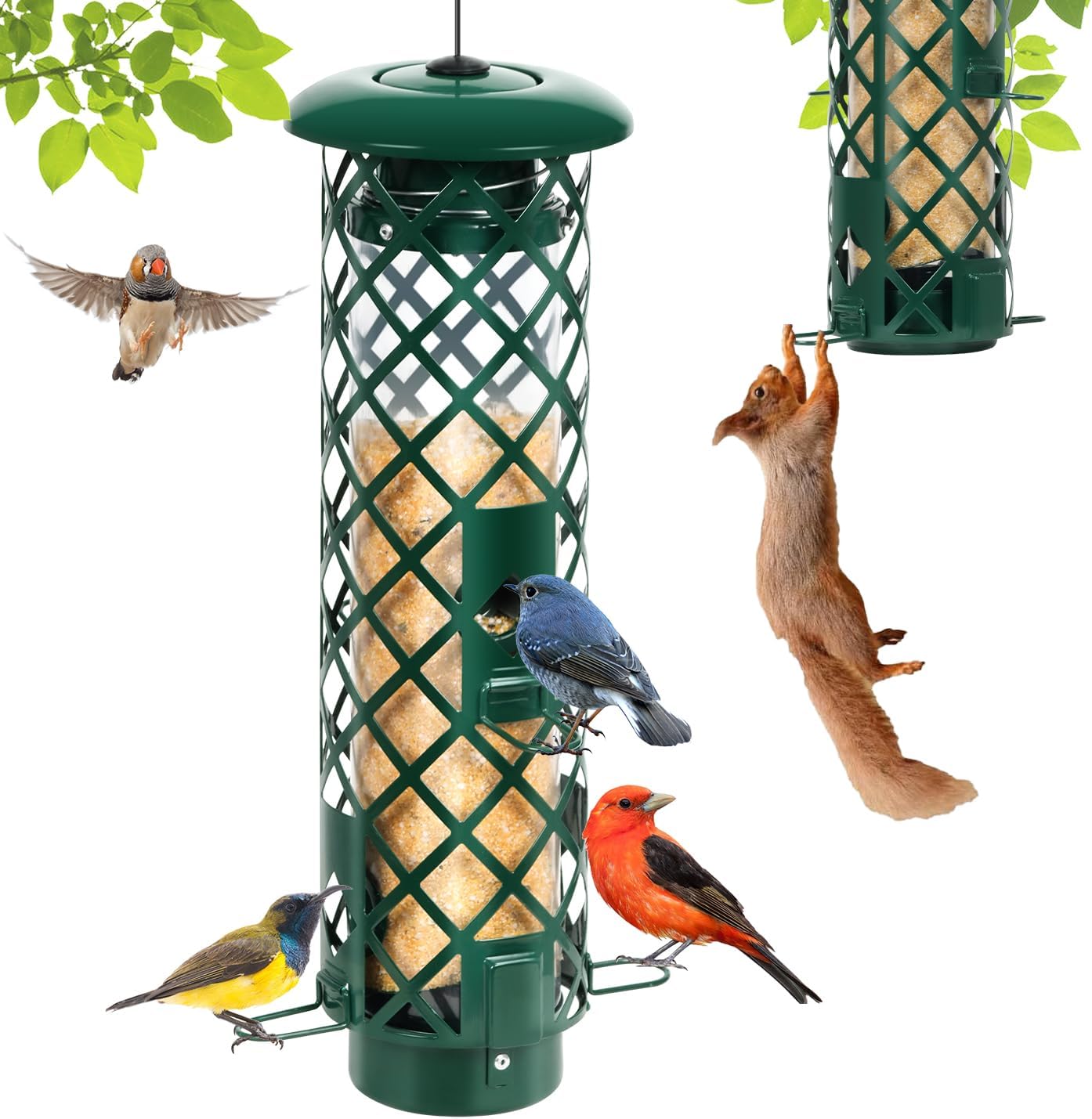 Squirrel Proof Bird Feeder for Outdoors, Weight-Activated Metal Hanging Bird Feeder, 3LB Large Capacity Wild Bird Feeder with Drainage Holes for Garden Patio Yard, Green