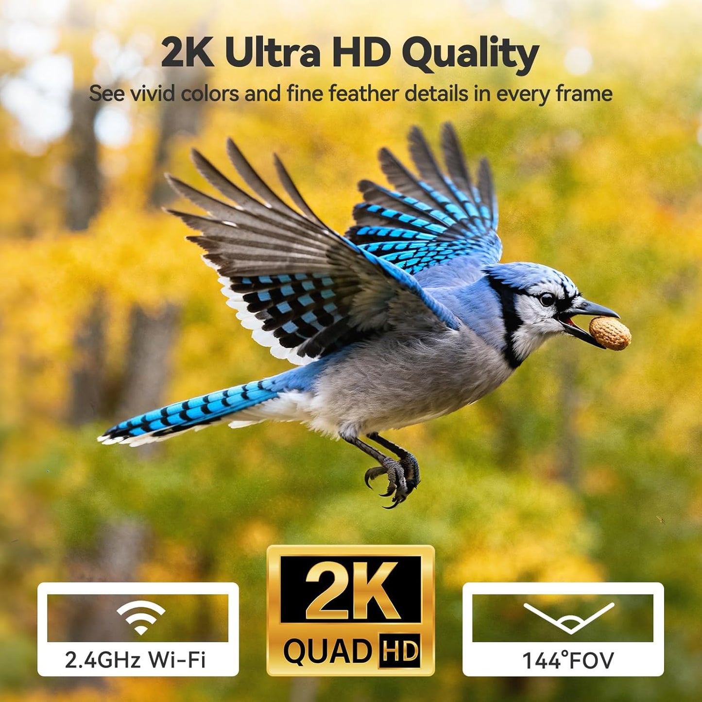 Dzees Window Bird Feeder with Camera, 2K HD Live Stream & AI Bird Identification, Smart Bird Feeder for Window Mount, Auto-Capture, 2.4GHz WiFi, Strong Suction Cup Installation, Gift for Bird Lovers