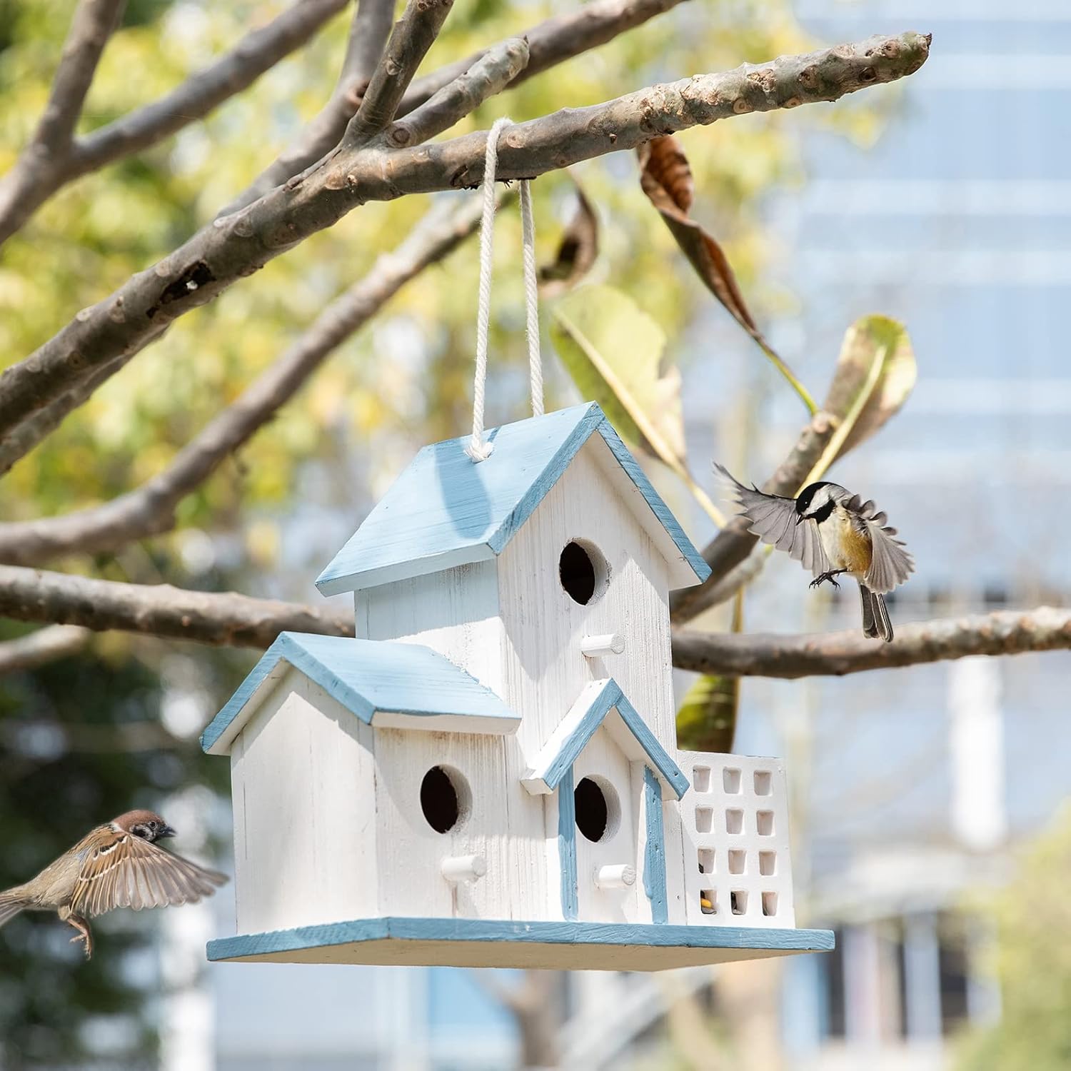 Birdhouse Premium Bluebird Houses for Outside Attract Beautiful Birds 