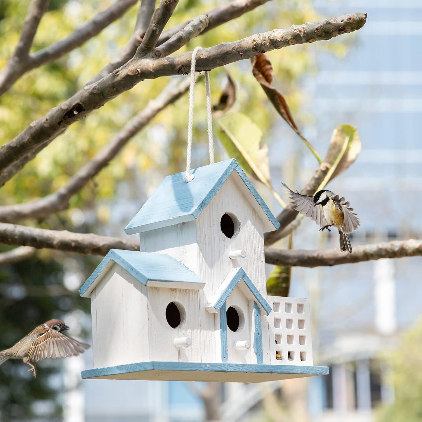 Birdhouse Premium Bluebird Houses for Outside Attract Beautiful Birds to Your Garden and Yard Durable Outdoor Birdhouses 3 Hole Bird Houses for Outside Hanging