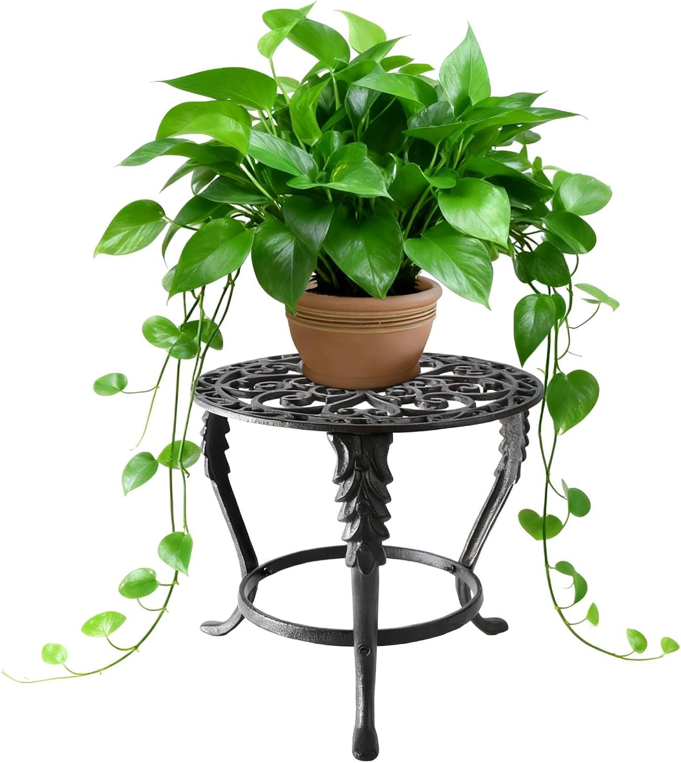 Notakia Plant Stand Indoor Outdoor Clearance Heavy Duty Cast Iron Plan