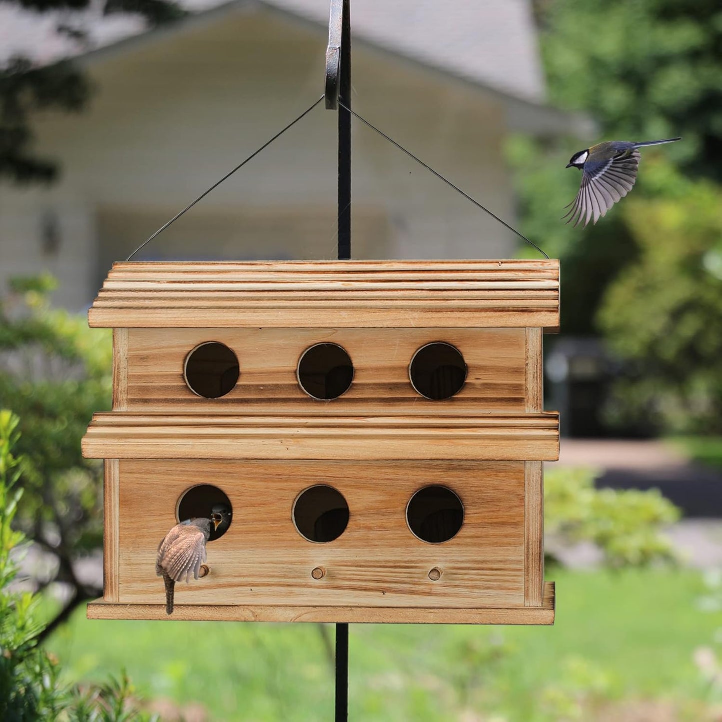 Bird Houses for Outside,6 Hole Outdoor Bird House - Room for 6 Bird Fa