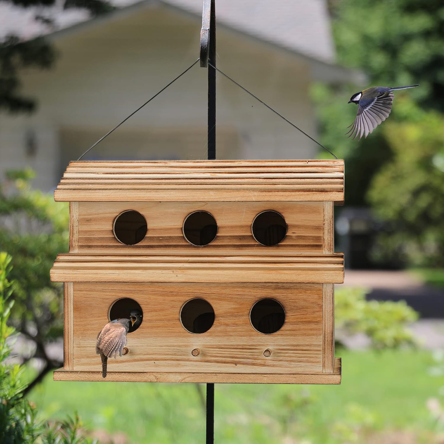 Bird Houses for Outside,6 Hole Outdoor Bird House - Room for 6 Bird Fa