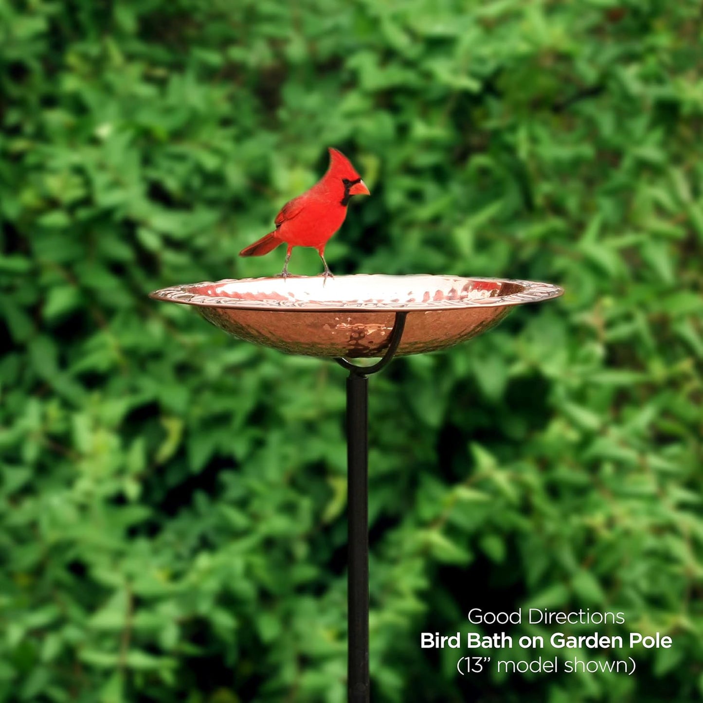 Good Directions Polished Copper Bird Bath with Fountain on Garden Pole