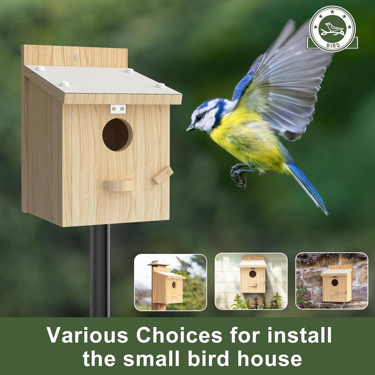 Bird Houses for Outside, Bluebird House with Standing Perch, Hanging Wood Bird House with Waterproof Acrylic Plate for Small Birds Bluebird Finch Swallow Wren Chickadee Assembly Required