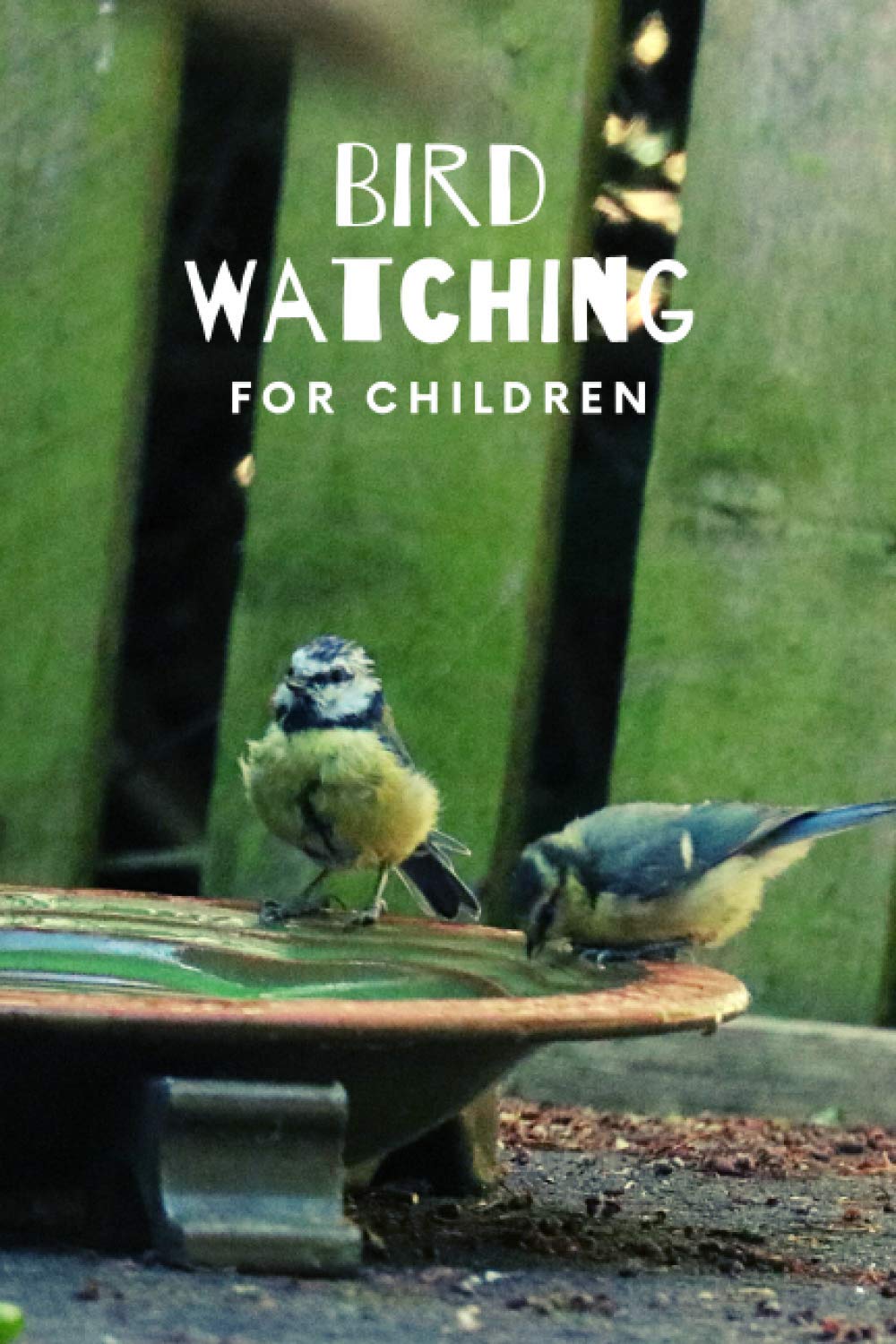 Bird Watching for Children: Bird Watching Lovers, Birdwatchers Notebook - For Recording Bird Sightings, Birders Journal full of details (Species, Behaviors, Habitat and much more)