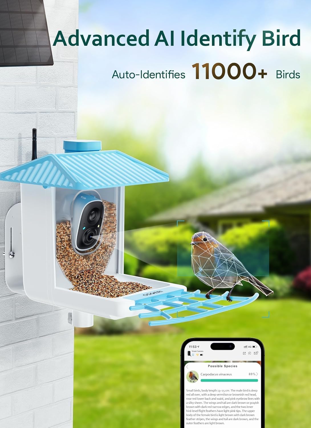 Osoeri Bird Feeder with Camera - Solar Smart Bird Feeder with AI Identify, 1080P HD Auto Capture Birds Video, Real-Time Alerts, Gifts for Family and Friends, 2.4GHz WiFi