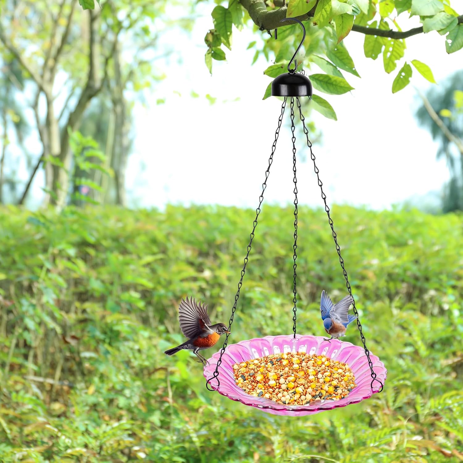 MUMTOP Hanging Bird Bath-Bird Baths for Outdoors - 12 Inch Glass Bird 
