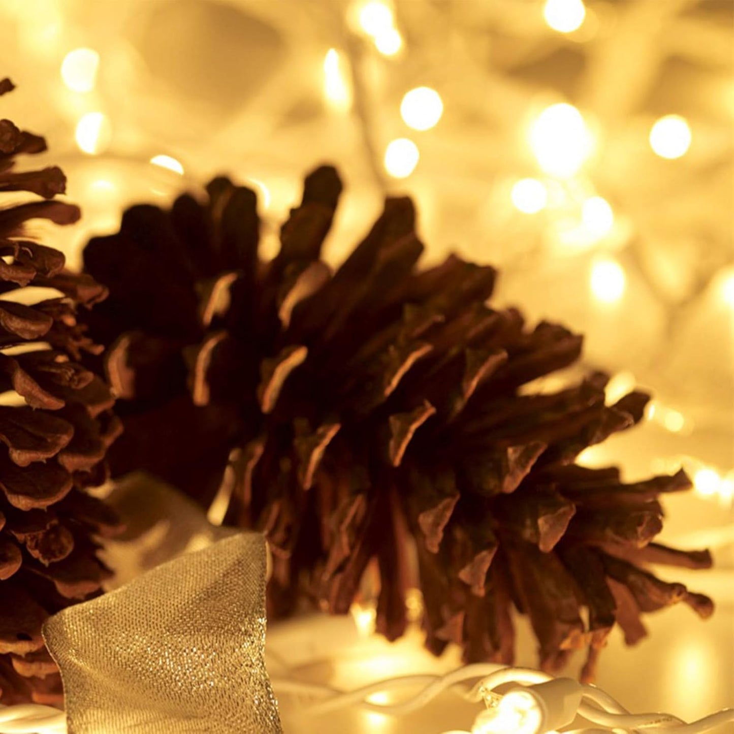 HISHINY Christmas Lights 100 Count Mini Clear Lights 21ft White Wire C