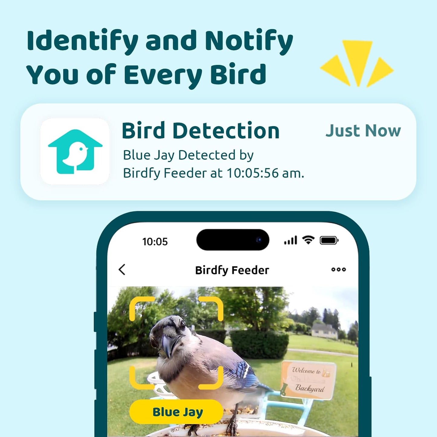 NETVUE Birdfy® Hummee Smart Hummingbird Feeder with Camera, Auto Capture Bird Videos & Birdwatching Up-Close, 2 in 1 Feeders Attract More Hummingbirds, Ideal Present for Bird Lover