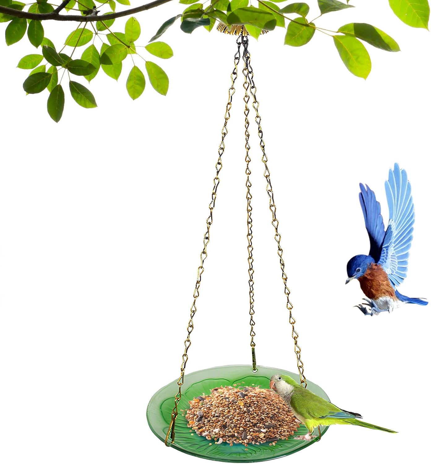 Bird Feeder,Floral Pattern Dish - Floral Pattern Window Bird Feeder,for Outdoor, Garden, Backyard, Porch, Park