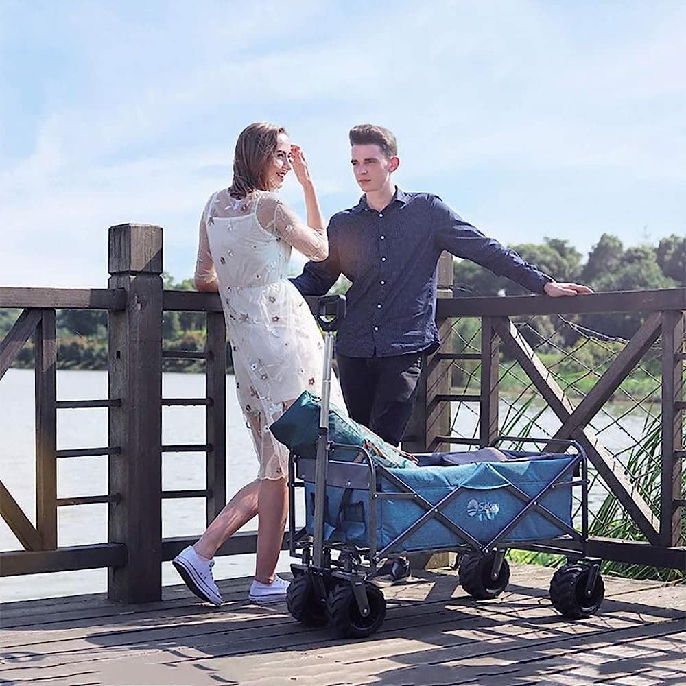Handcart, Folding Portable Shopping Cart with Canopy, Trolley Cart Heavy Duty Wagon, Children's Luggage Cart for Outdoor/Camping/Fishing/Mall, Load: 100Kg