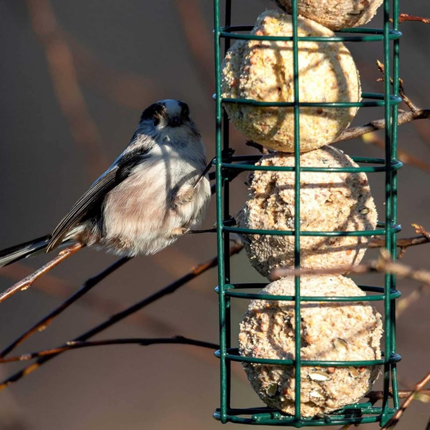 Hanging Wild Bird Feeder with Perch Clear Plastic Tube Mesh Suet Ball 