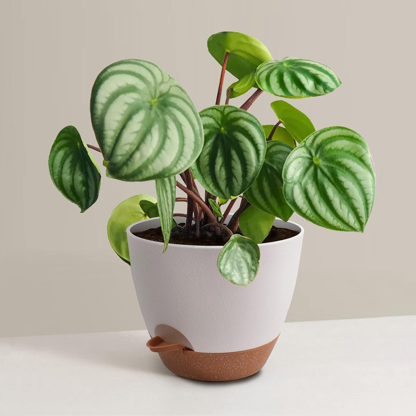 Plant Pots 12/10/9 inch Set of 3, Self Watering Flower Pots Indoor Out