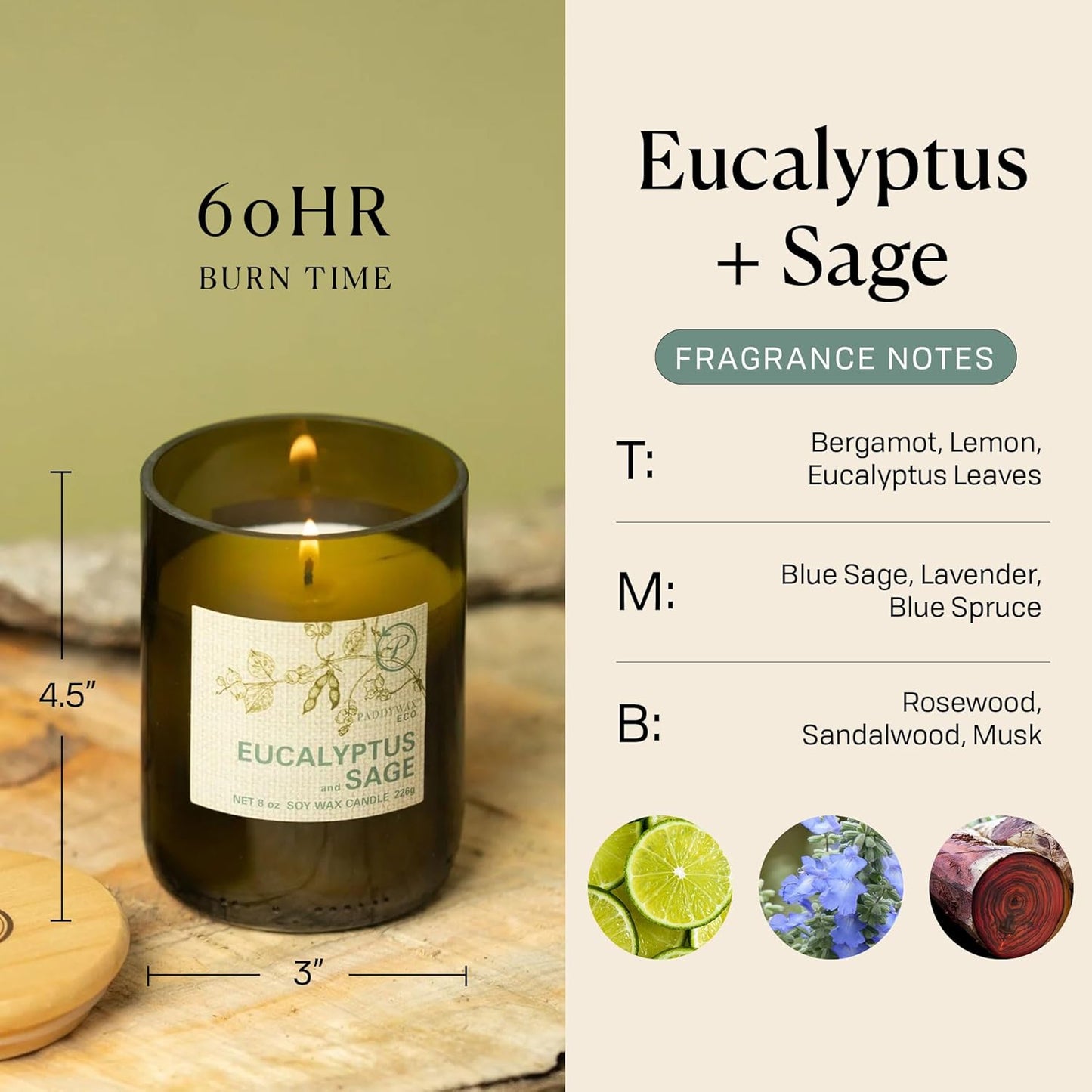 Paddywax Eco Collection Soy Wax Blend Candle in Glass Jar, Eucalyptus 