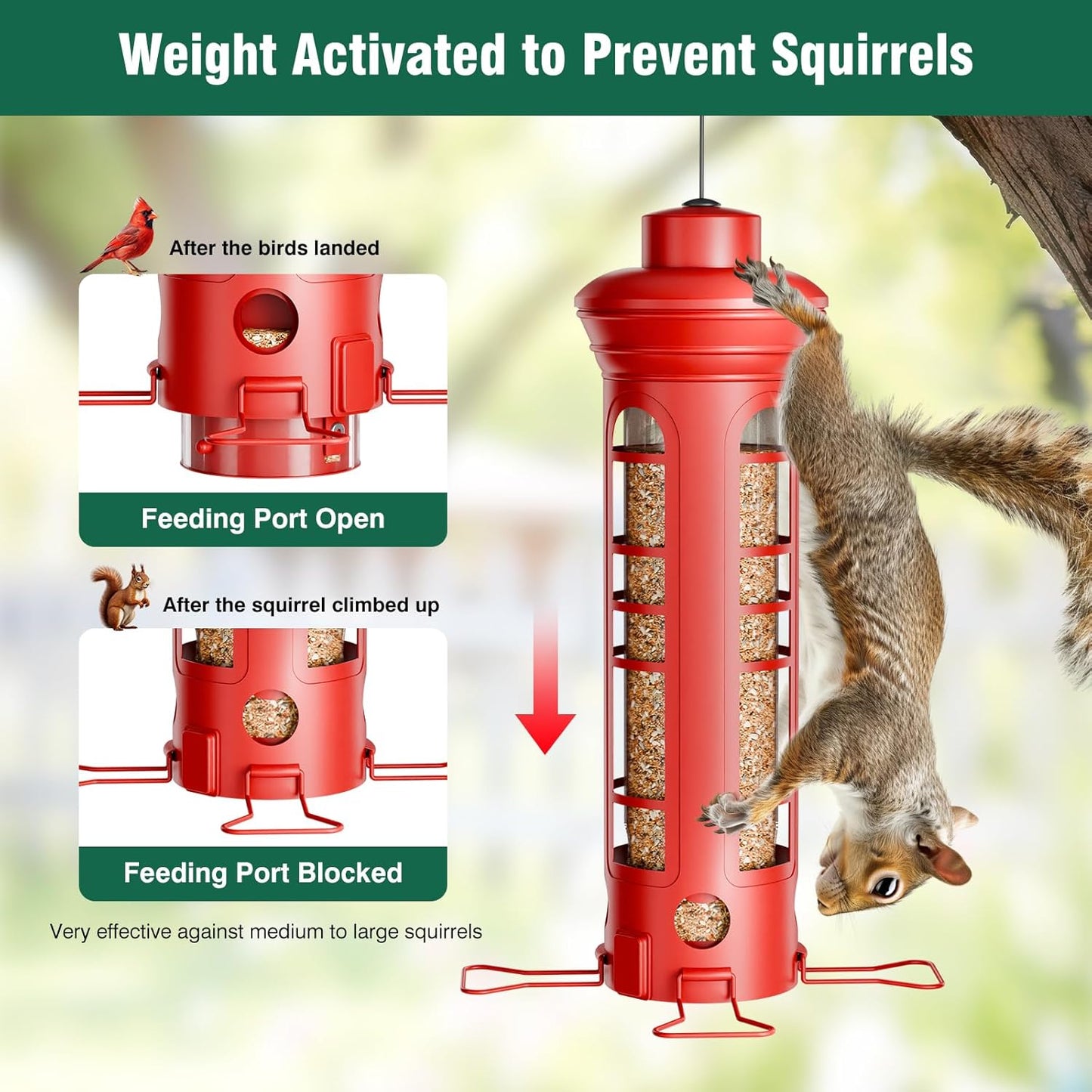 Squirrel Proof Metal Bird Feeder, Removable Base for Cleaning, Weight Activated Perches, 3 Lbs Capacity, Weatherproof & Rust Proof, Outdoor Hanging Bird Feeder for Cardinals, Finches
