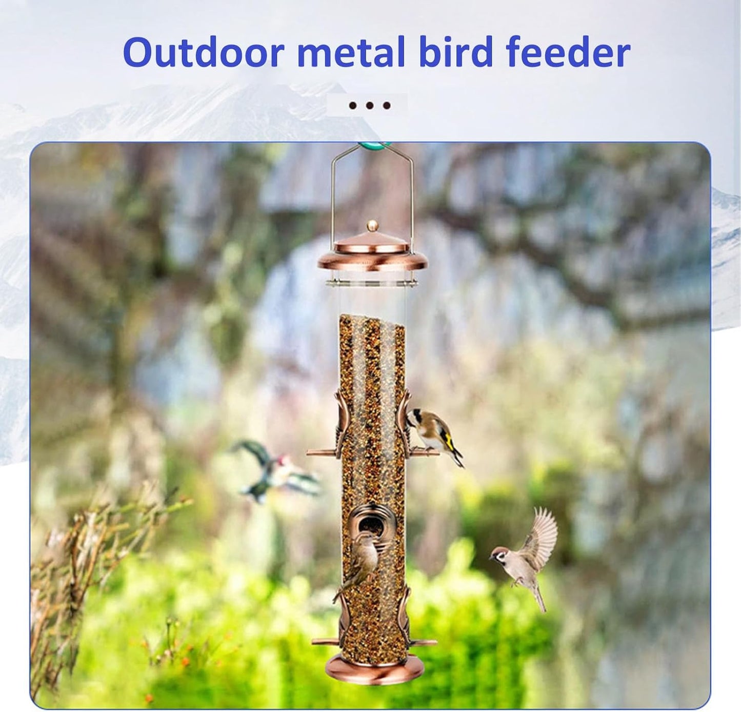 Assemble Metal Bird Feeder 6 Ports Multiple Birds Anti Squirrel Simple