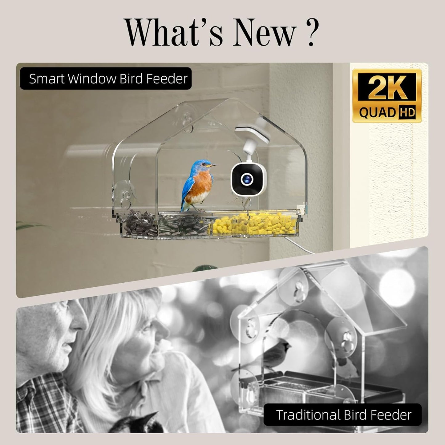 Smart Window Bird Feeder Camera with AI, Modern Design for Panoramic Views, 2K HD Live Feed, USB Powered & Secure Suction Mount - The Ultimate Tech Gift (Clear)