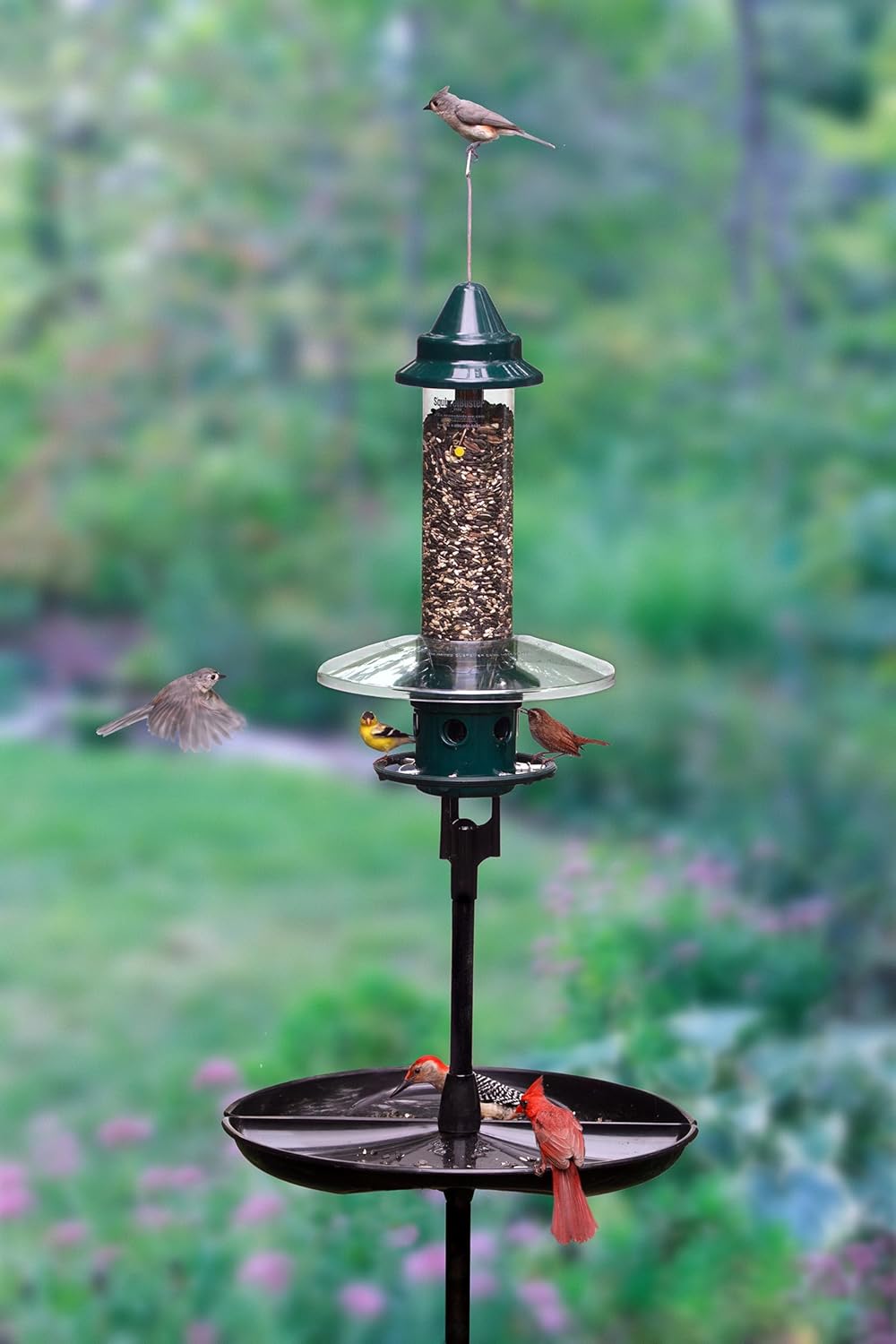Squirrel Buster Plus Podium, Ultimate Squirrel-Proof Bird Feeding Station, Includes Plus Bird Feeder, Weather Guard, Pole Adaptor, BirdsUP Single Pole and Seed Catcher Tray