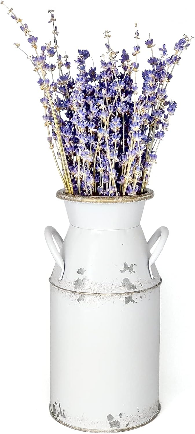 Galvanized Milk Can Antique Retro Vase Metal Planter Rustic Vintage Pr