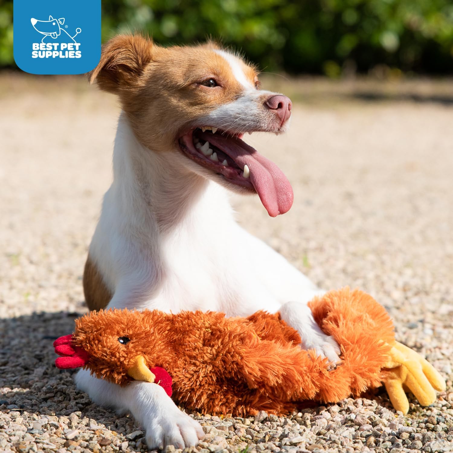 Best Pet Supplies Interactive Squeaky Dog Chew Toy, Ideal Dog Toys for