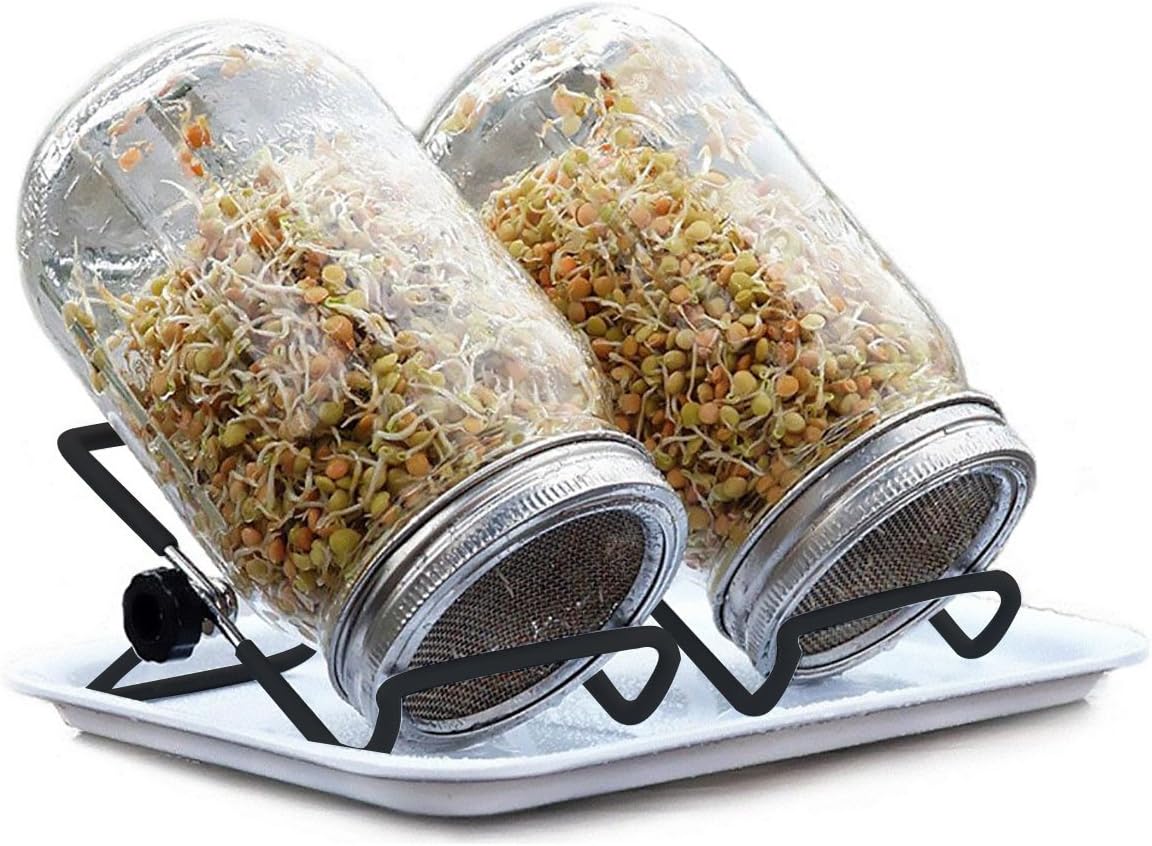 FEESHOW Sprouting Jar Stand, Stainless Steel Sprouting Lid Stands Kit for Mason Jar and Phone iPad Tablet Stand 2 Pack Black One Size