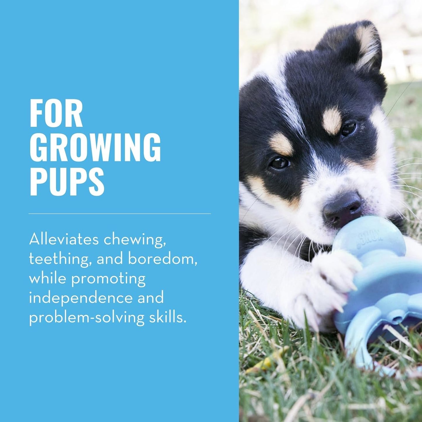 KONG Puppy Binkie - Pacifier Dog Toy for Puppies - Stuffable Treat Che