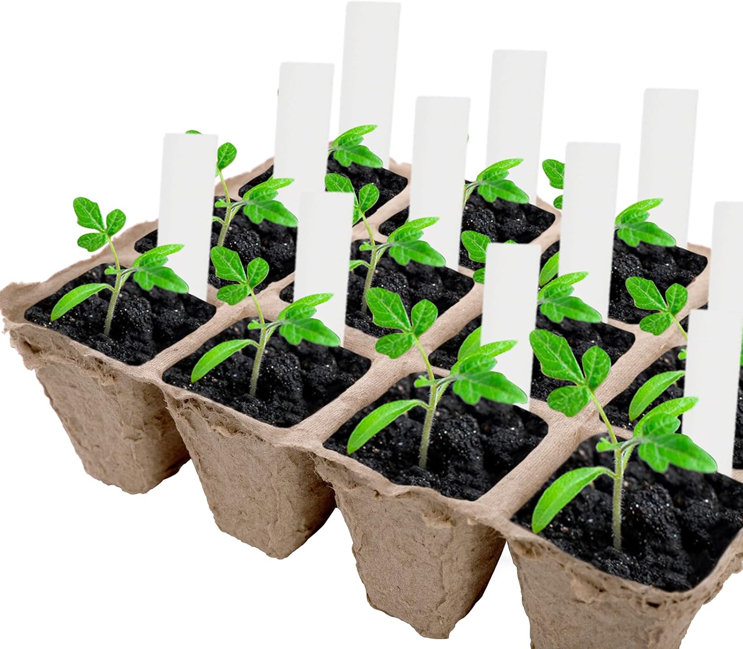Jucoan 40 Pack Peat Pots Seed Starter Trays, 480 Cells Germination See