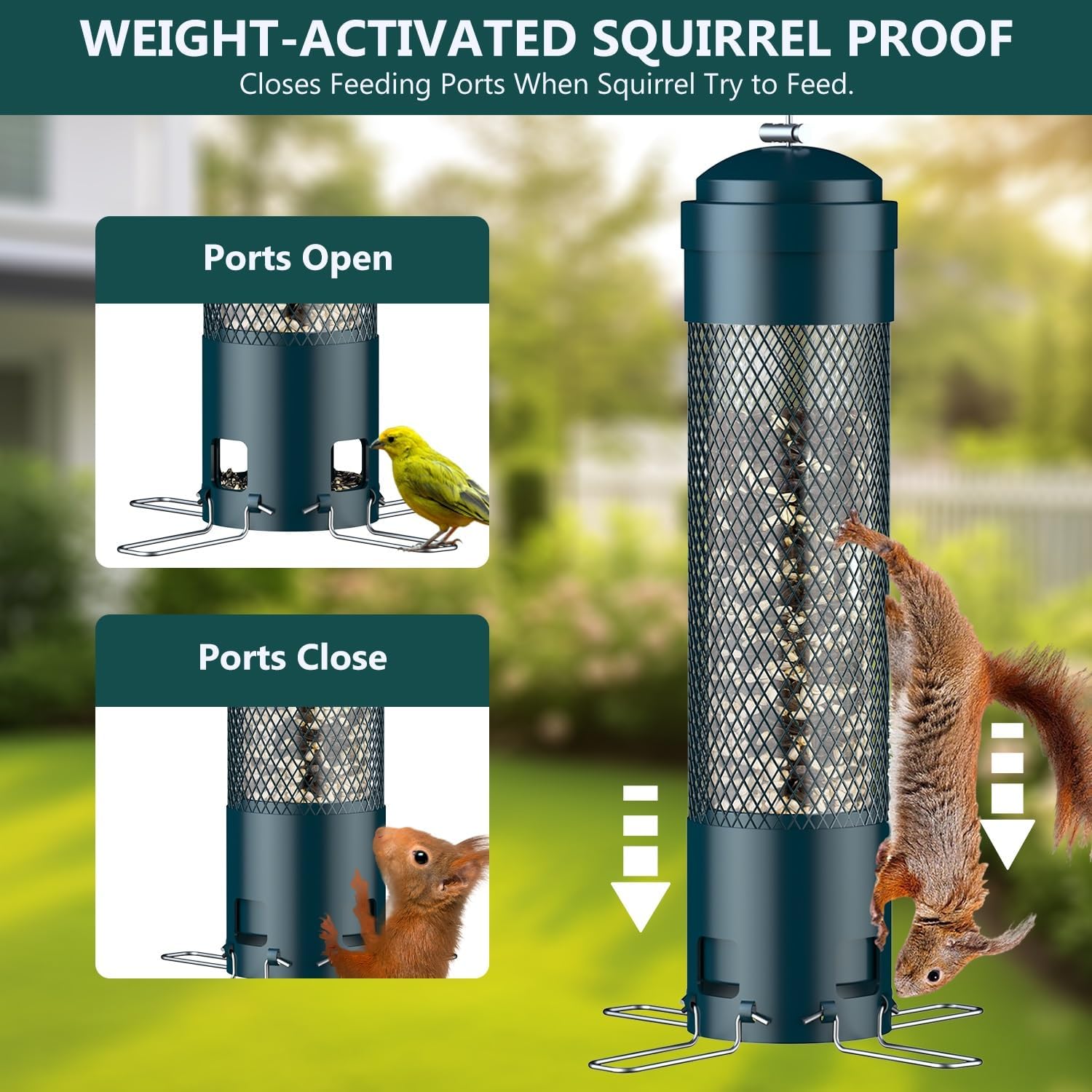 LCSEVEN Bird Feeders for Outdoors Squirrel Proof with Weight-Activated