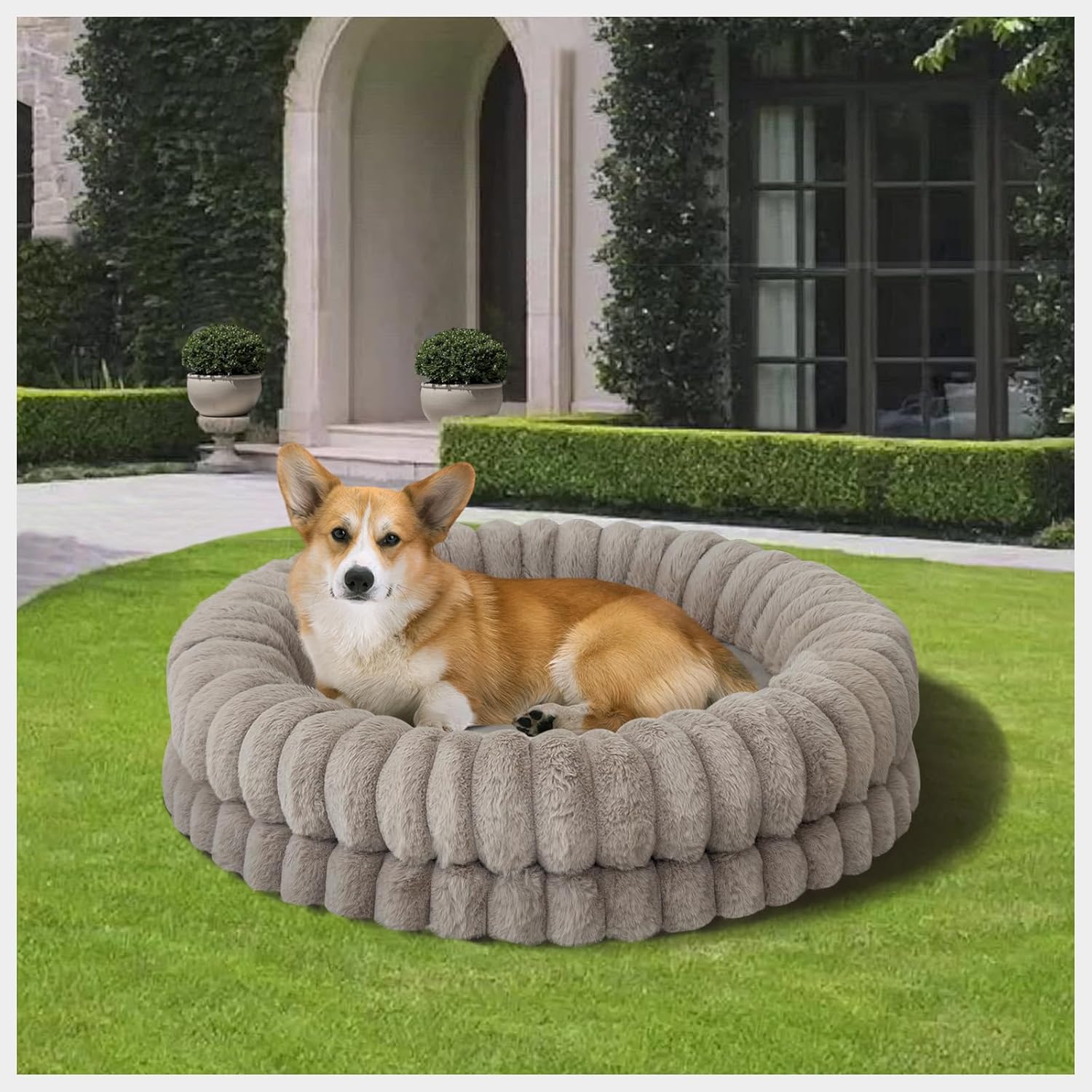 BALANCE Luxury Donut Dog Bed, 30 Inches Round Dog Bed Medium Size Dogs
